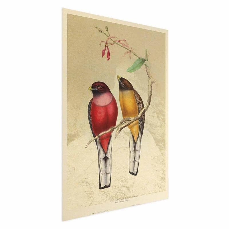 Poster - Birds on a Branch - 15