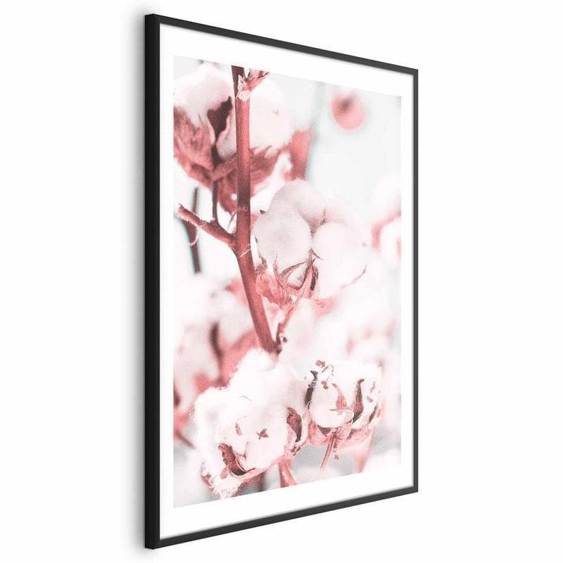 Poster - Cotton in Bloom - 20