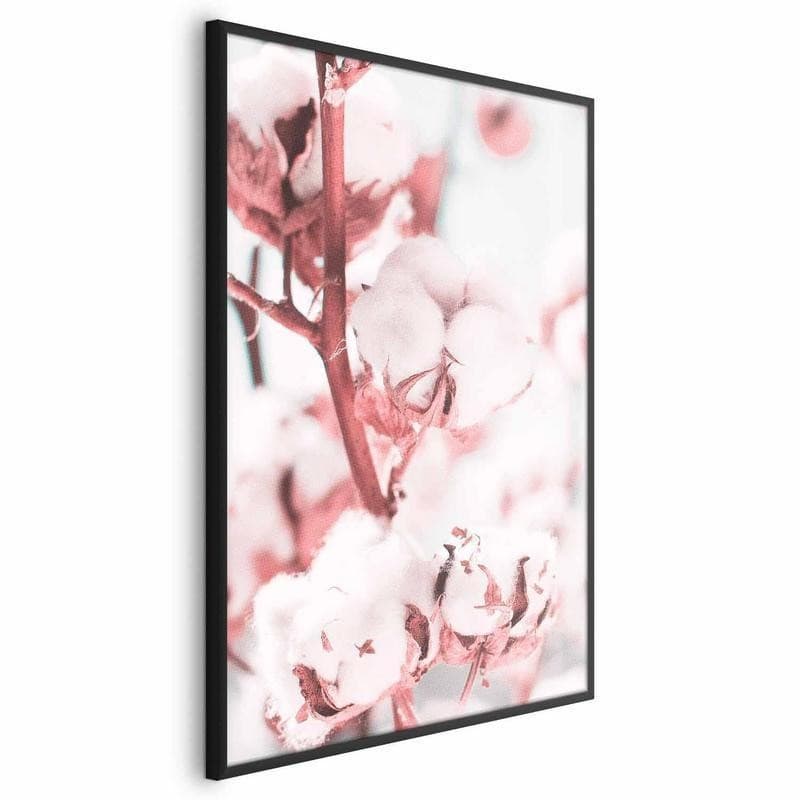 Poster - Cotton in Bloom - 17