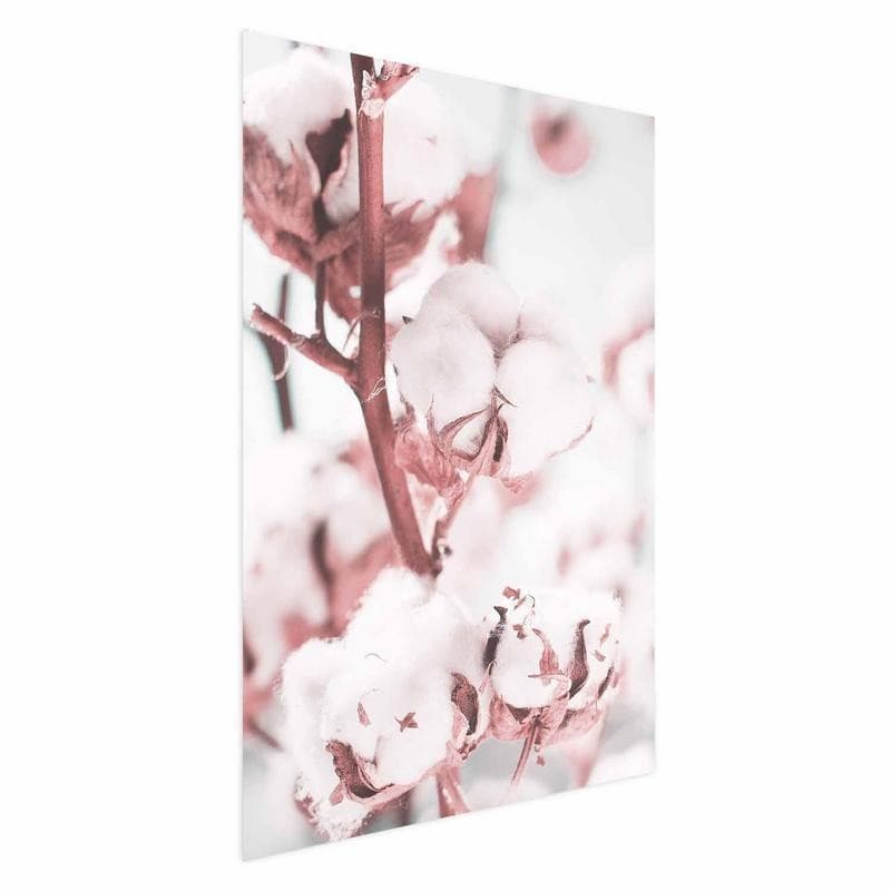 Poster - Cotton in Bloom - 15