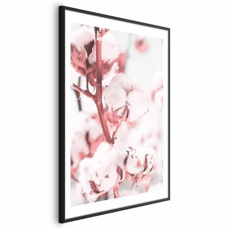 Poster - Cotton in Bloom - 5