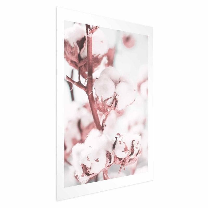 Poster - Cotton in Bloom - 6