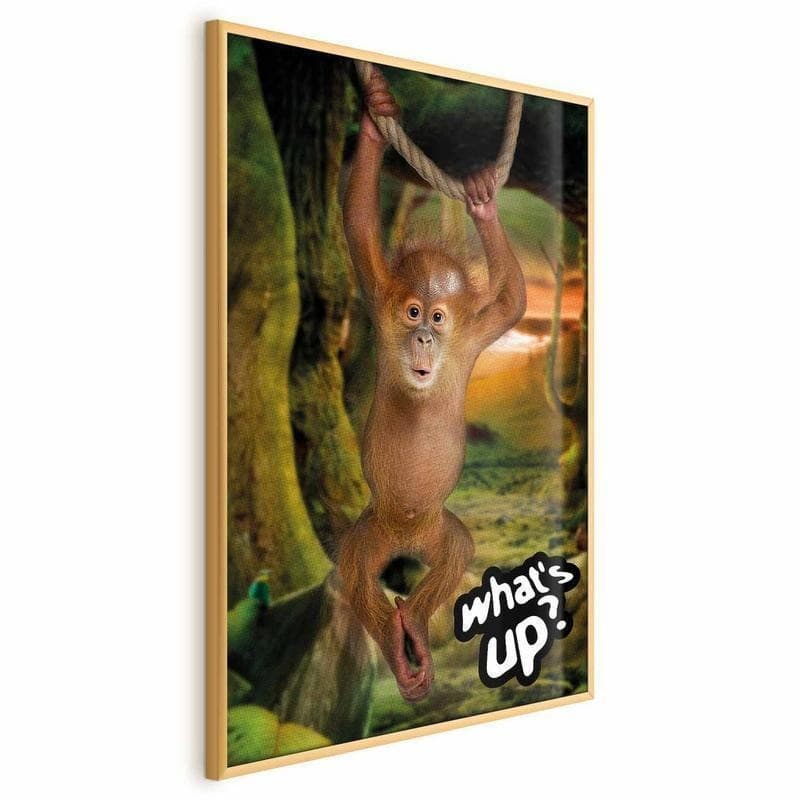 Poster - Whats Up? - 16