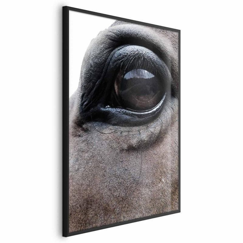 Poster - Honest Eyes - 16