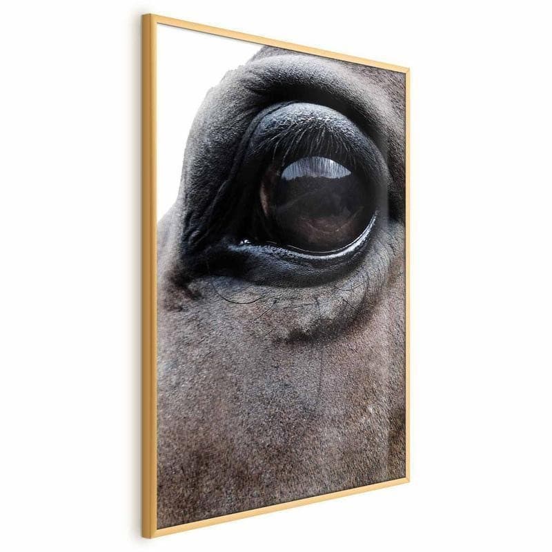 Poster - Honest Eyes - 17
