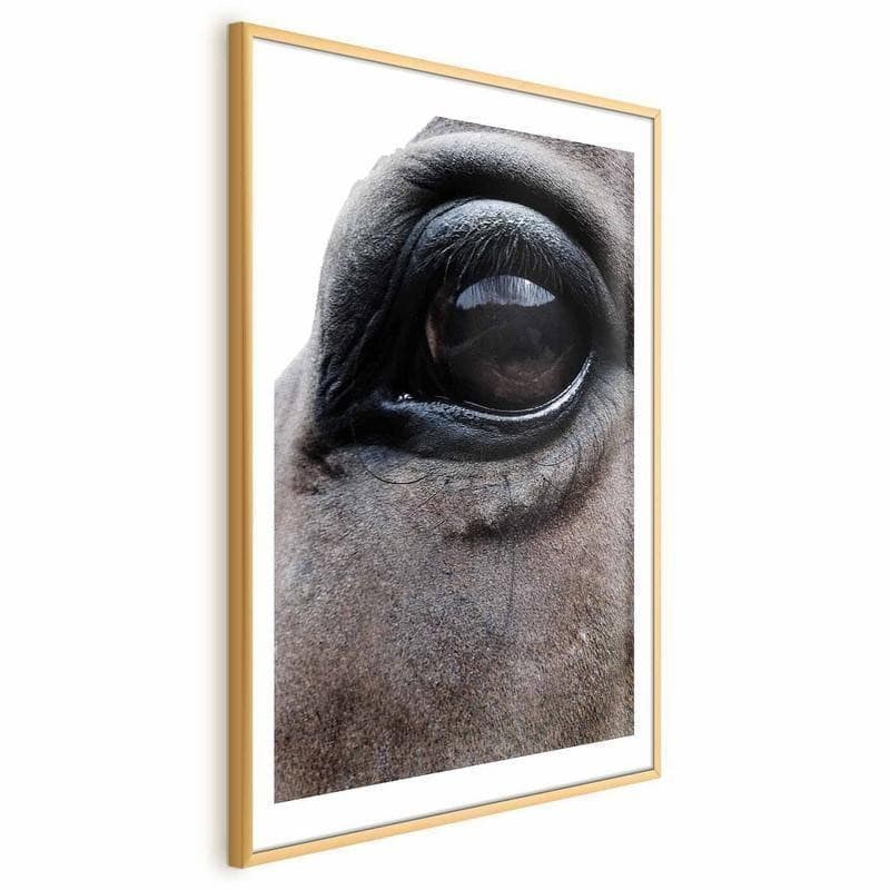 Poster - Honest Eyes - 18