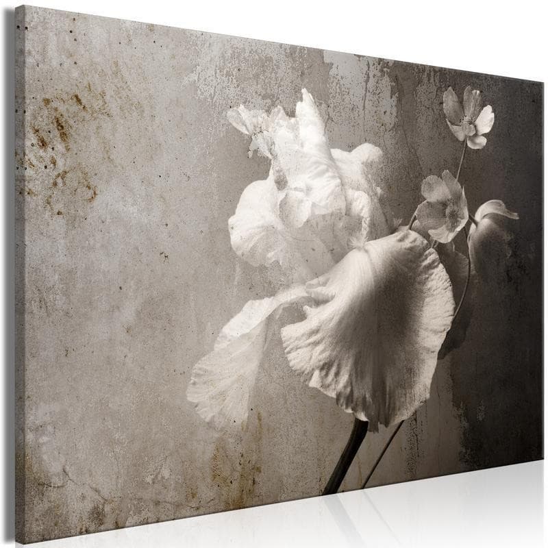 Quadro - Venetian Splendor (1 Part) Wide - 6