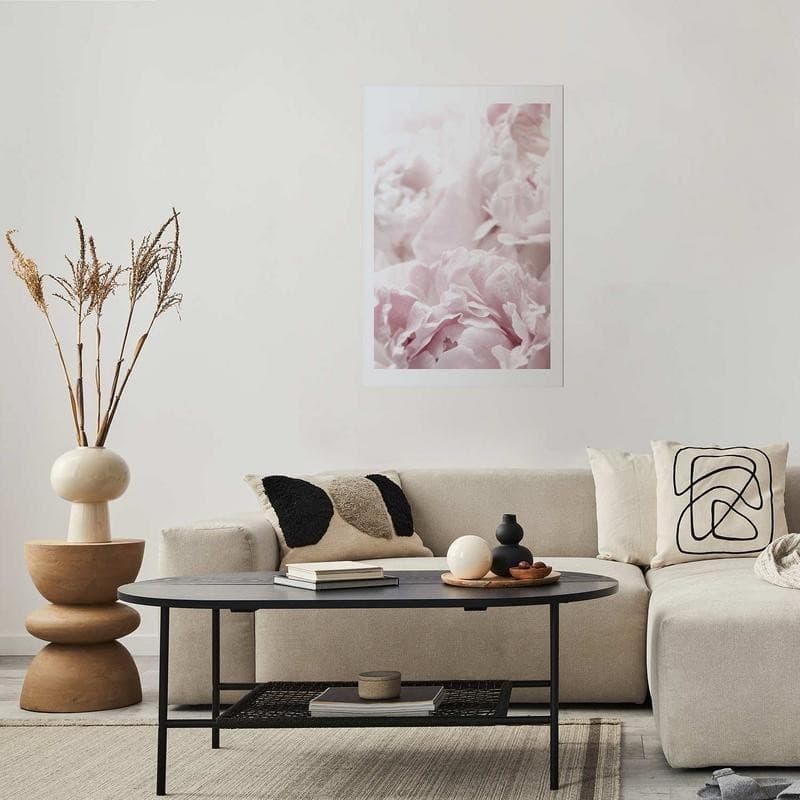 Poster - Fluffy Peonies - 12