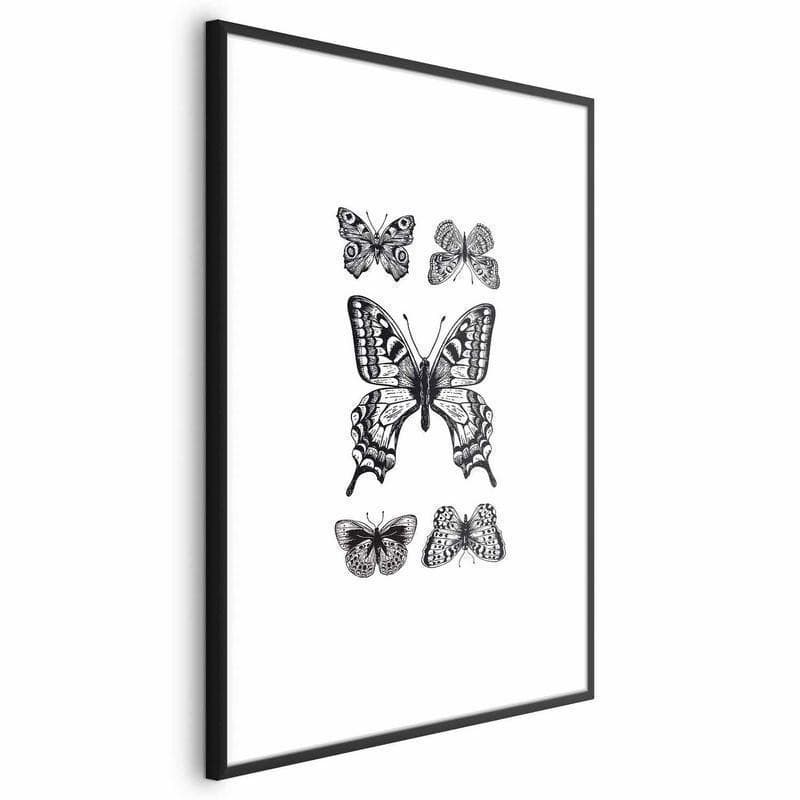Poster - Five Butterflies - 20
