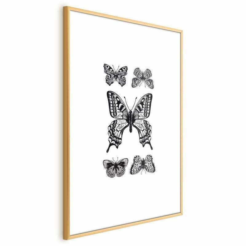 Poster - Five Butterflies - 19
