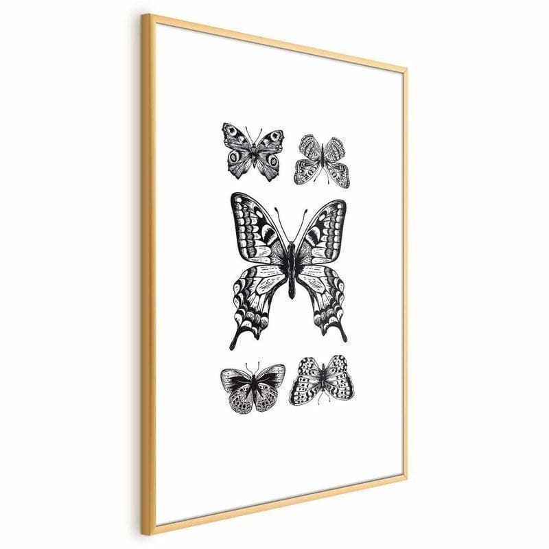 Poster - Five Butterflies - 18