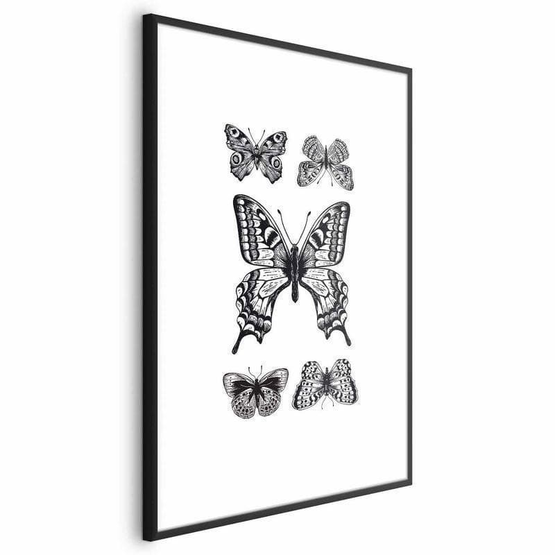 Poster - Five Butterflies - 17