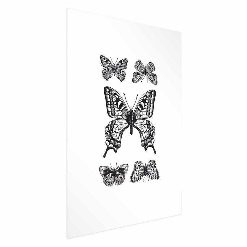 Poster - Five Butterflies - 15