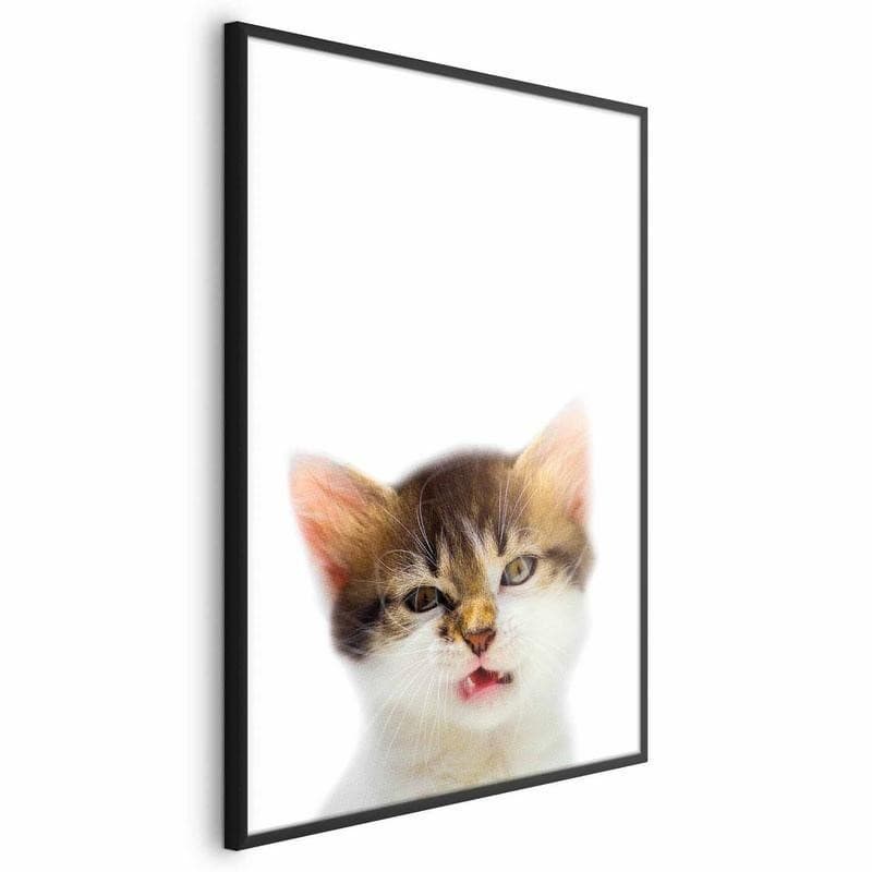 Poster - Annoyed Cat - 17