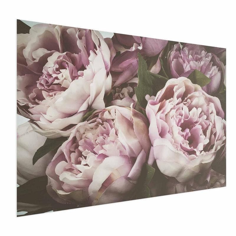 Poster - Pink Peonies - 15