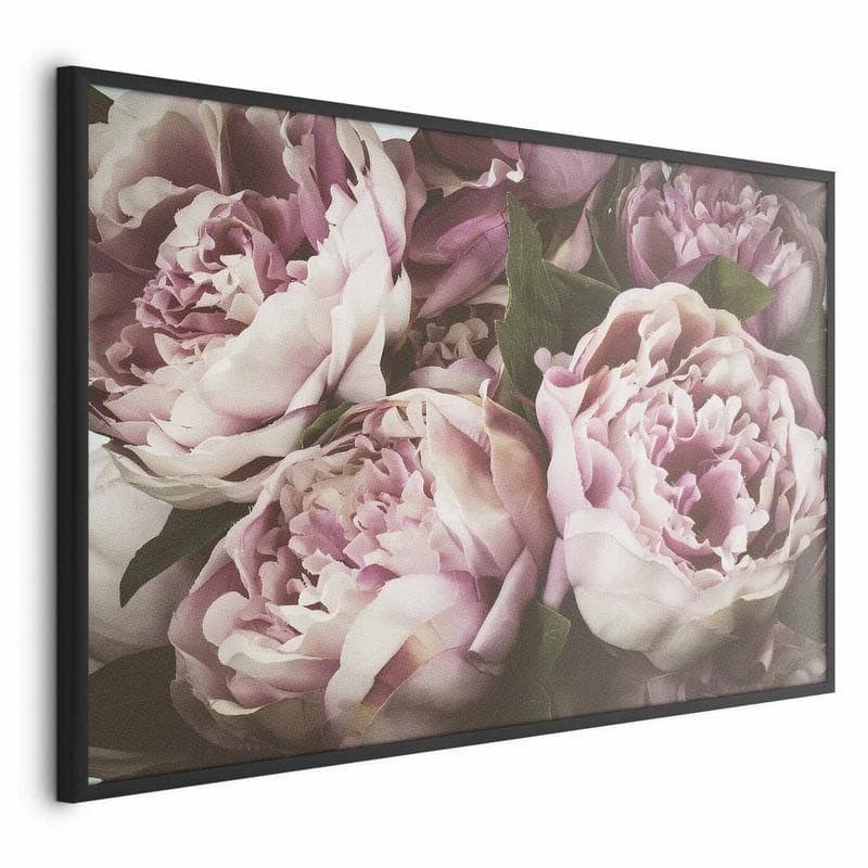 Poster - Pink Peonies - 17