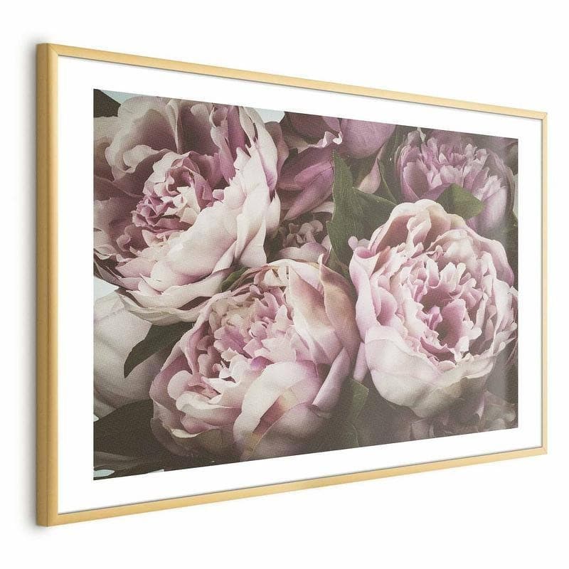 Poster - Pink Peonies - 18