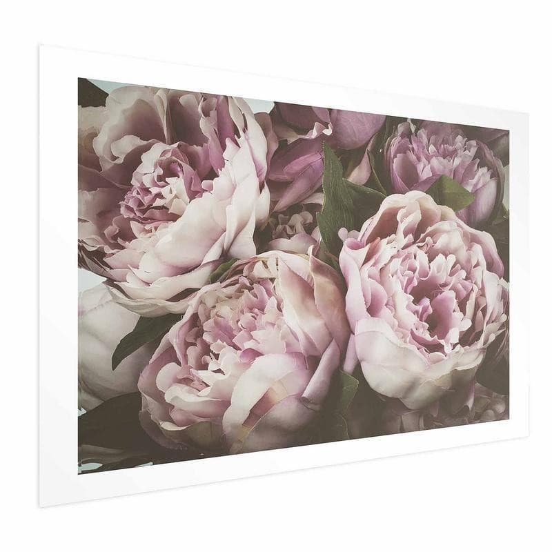 Poster - Pink Peonies - 16
