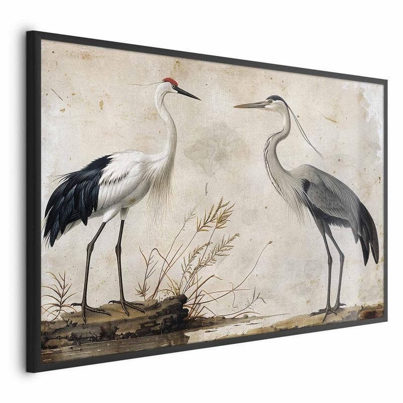 Poster - Birds from an Old Engraving - vintage-style illustration of a heron and a crane - 16