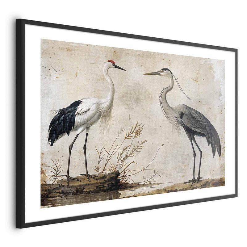 Poster - Birds from an Old Engraving - vintage-style illustration of a heron and a crane - 17