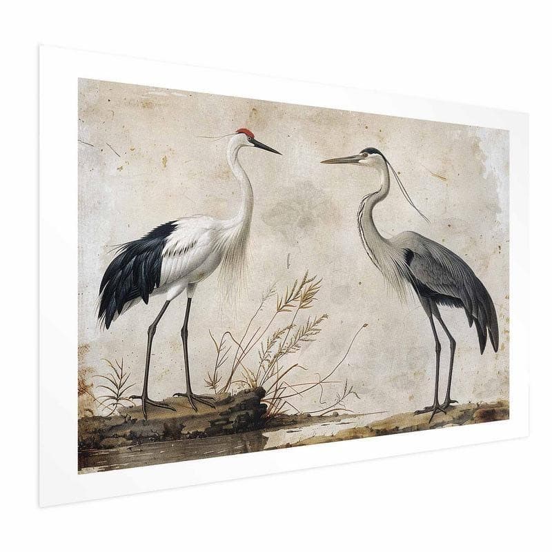 Poster - Birds from an Old Engraving - vintage-style illustration of a heron and a crane - 15