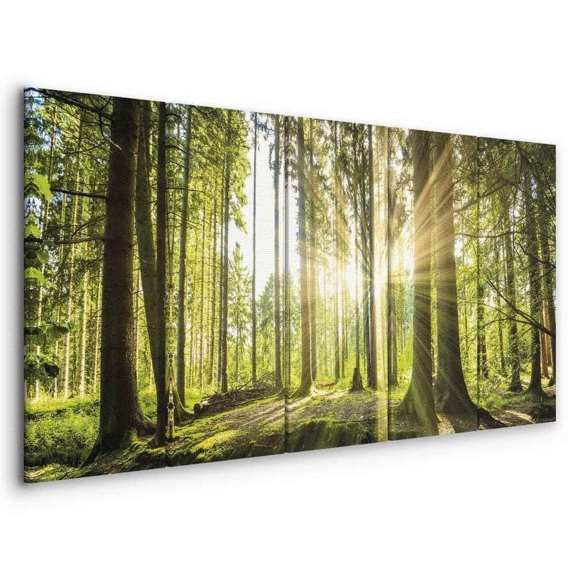 Quadro Sunlight - 8