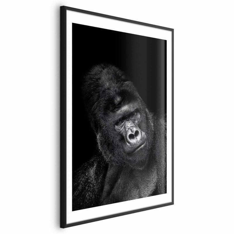 Poster - Gorilla - 20