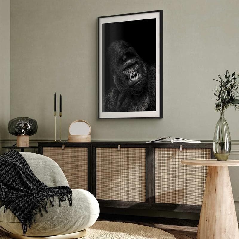 Poster - Gorilla - 11