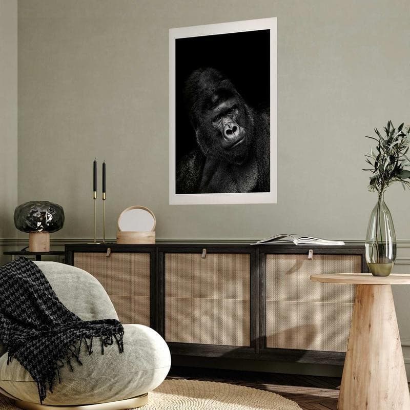 Poster - Gorilla - 12