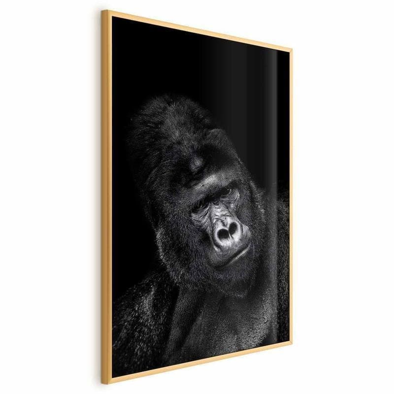 Poster - Gorilla - 3