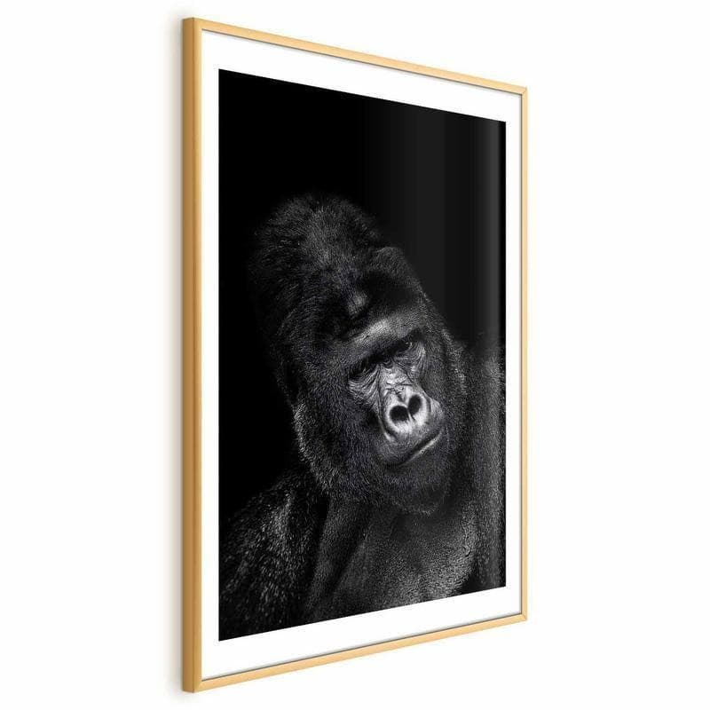 Poster - Gorilla - 4