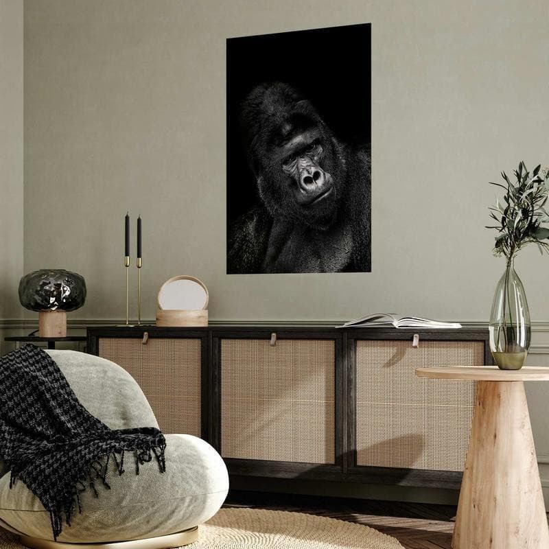 Poster - Gorilla - 7