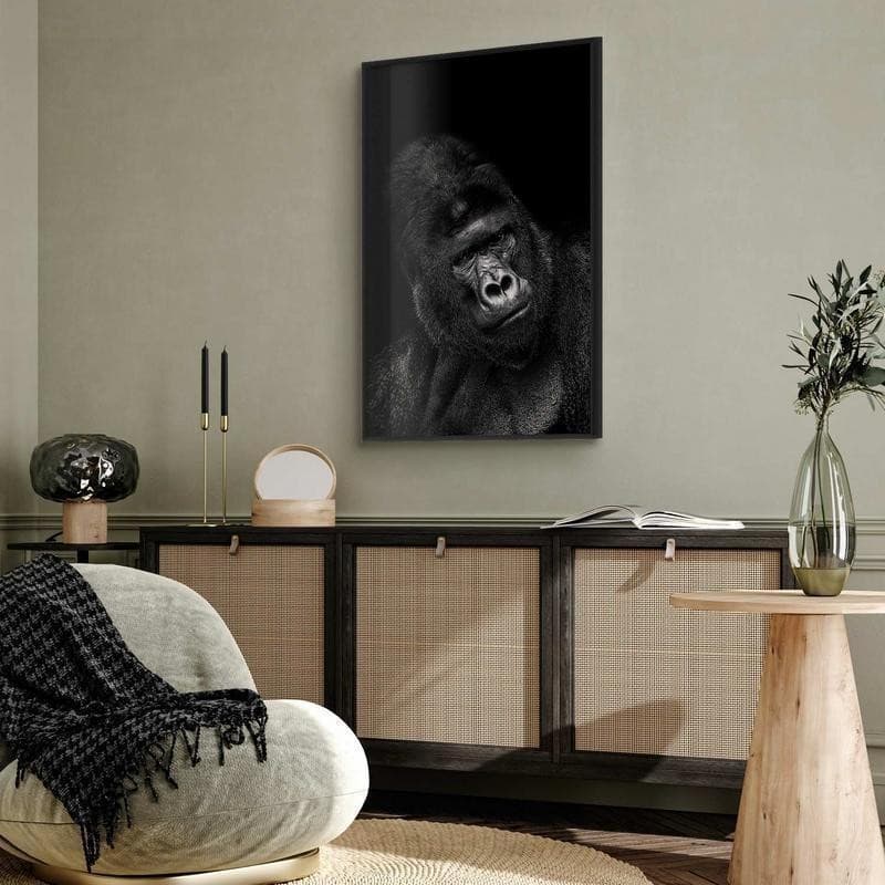 Poster - Gorilla - 8