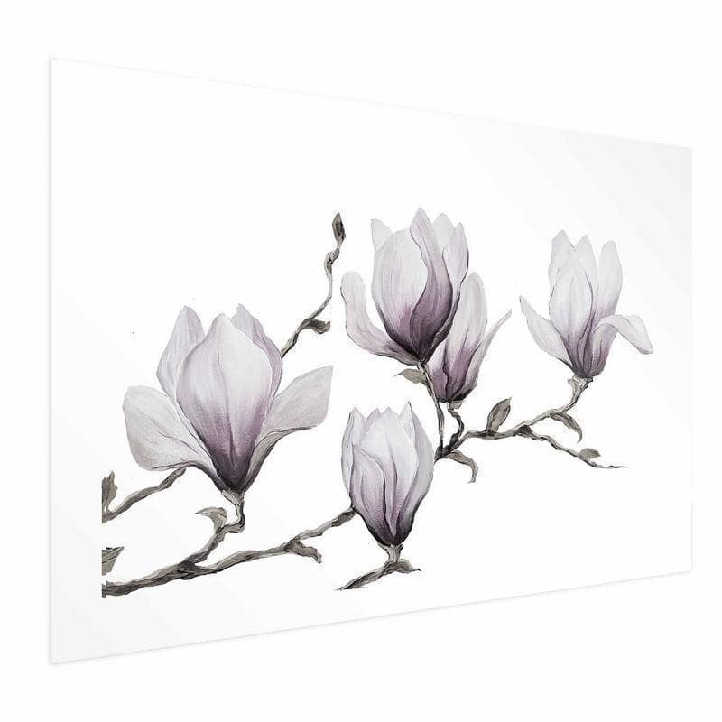 Poster - Painted Magnolias - 16