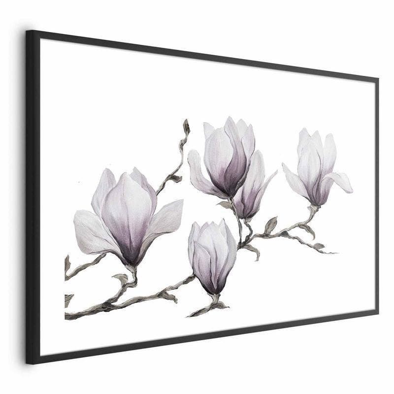 Poster - Painted Magnolias - 20