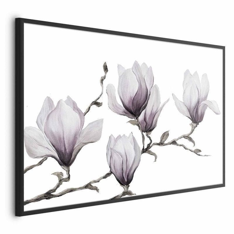 Poster - Painted Magnolias - 17