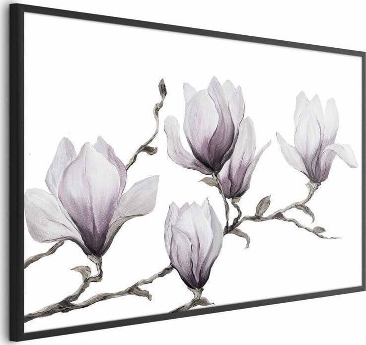 Poster - Painted Magnolias - 2