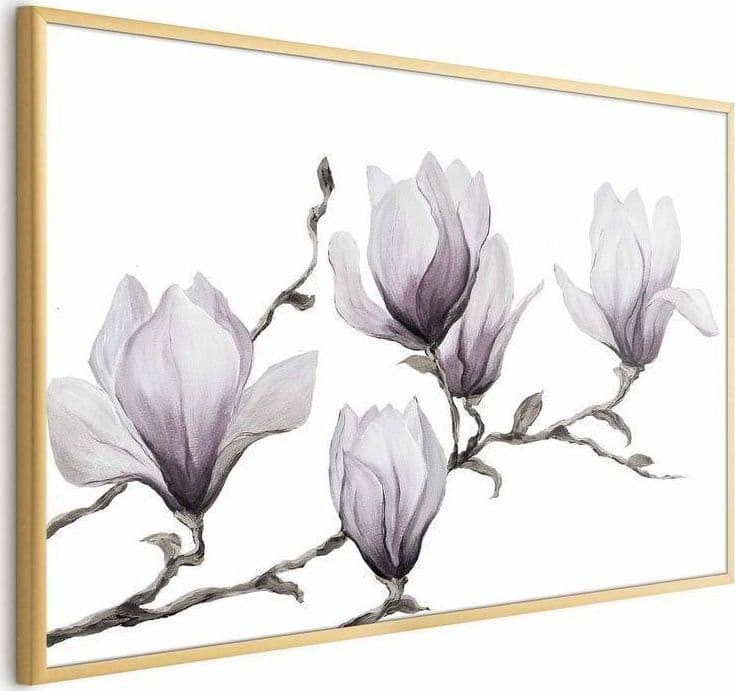 Poster - Painted Magnolias - 3