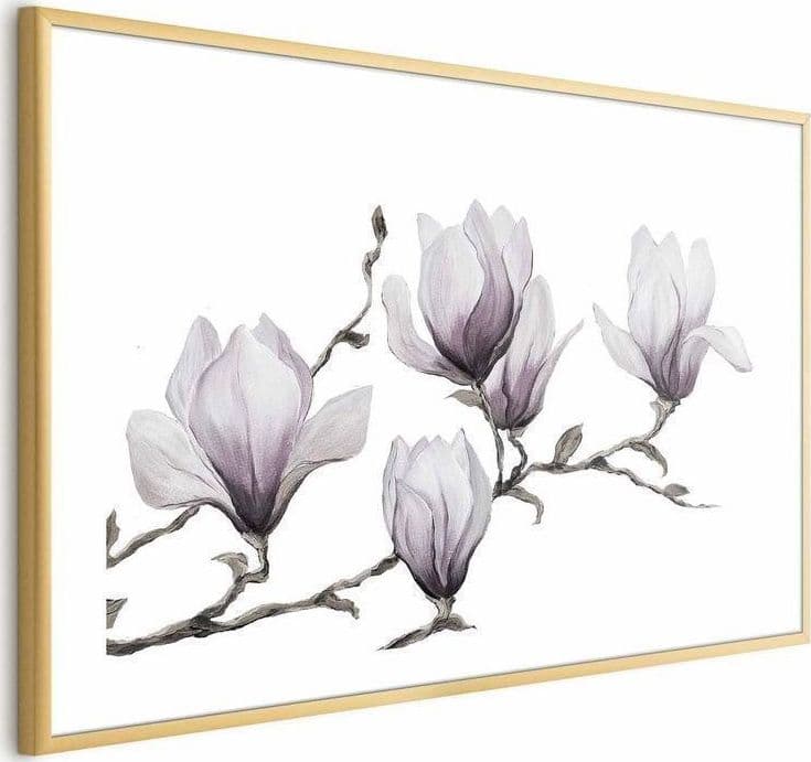 Poster - Painted Magnolias - 4