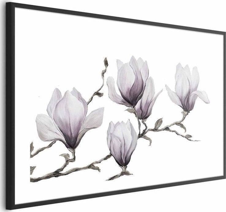 Poster - Painted Magnolias - 5
