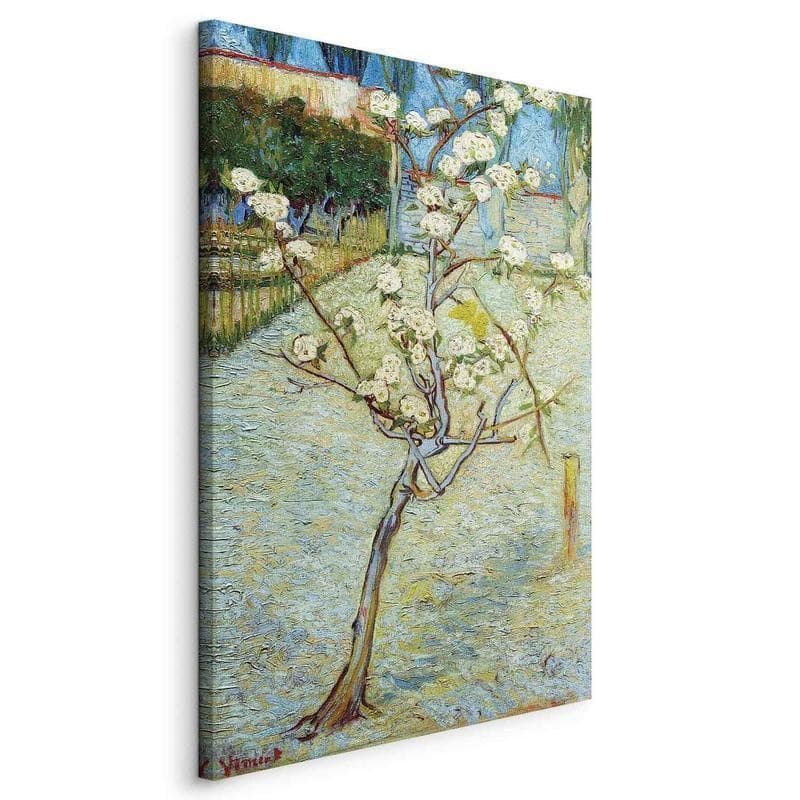 Quadro - Blossoming Pear Tree - 22