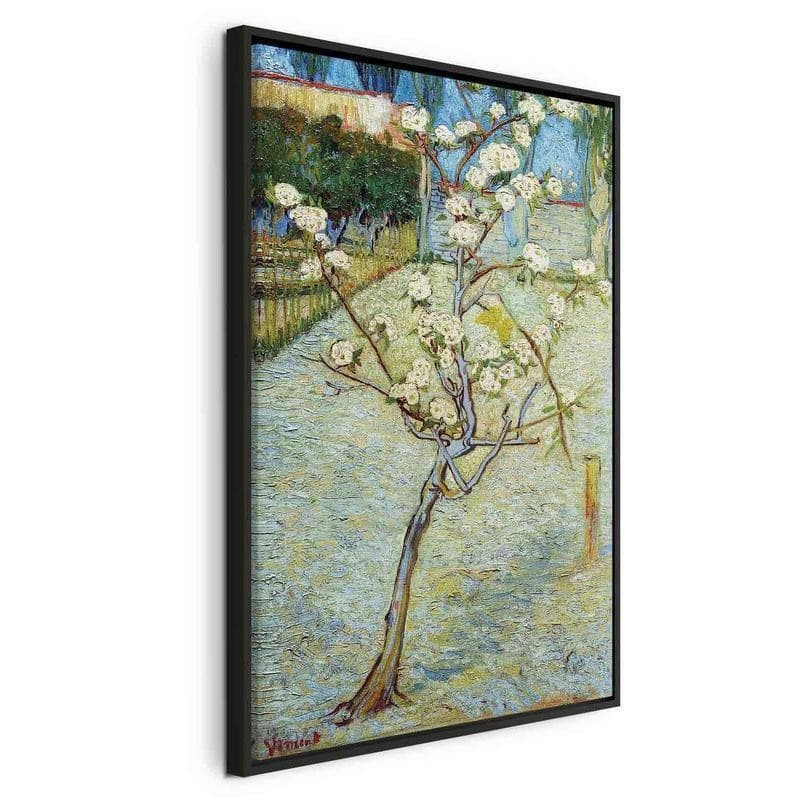 Quadro - Blossoming Pear Tree - 23