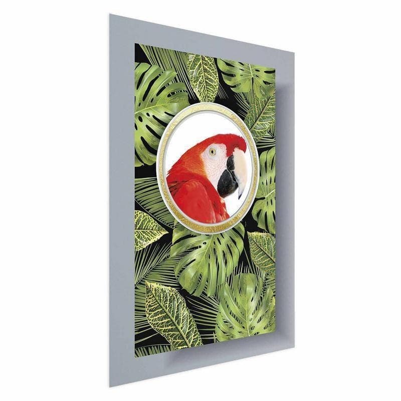 Poster - Parrot in the Jungle - 15