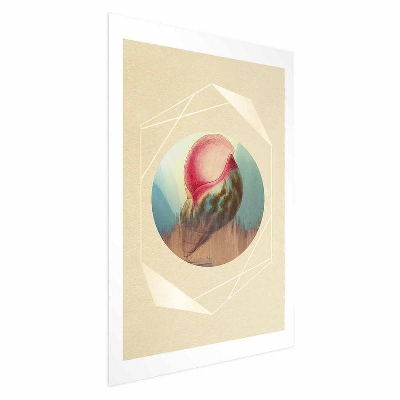 Poster - Shell - 15