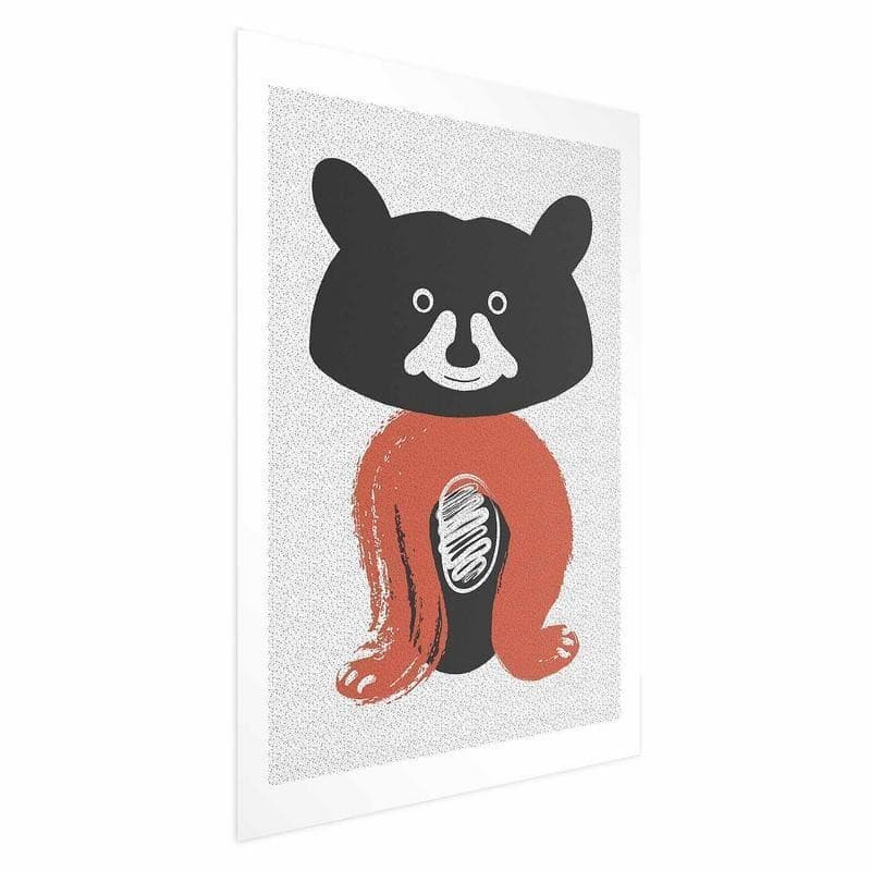 Poster - Friendly Mr Raccoon - 16