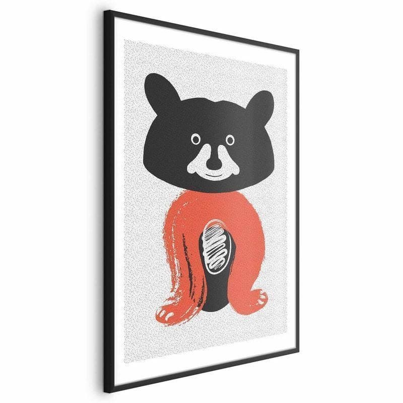 Poster - Friendly Mr Raccoon - 5
