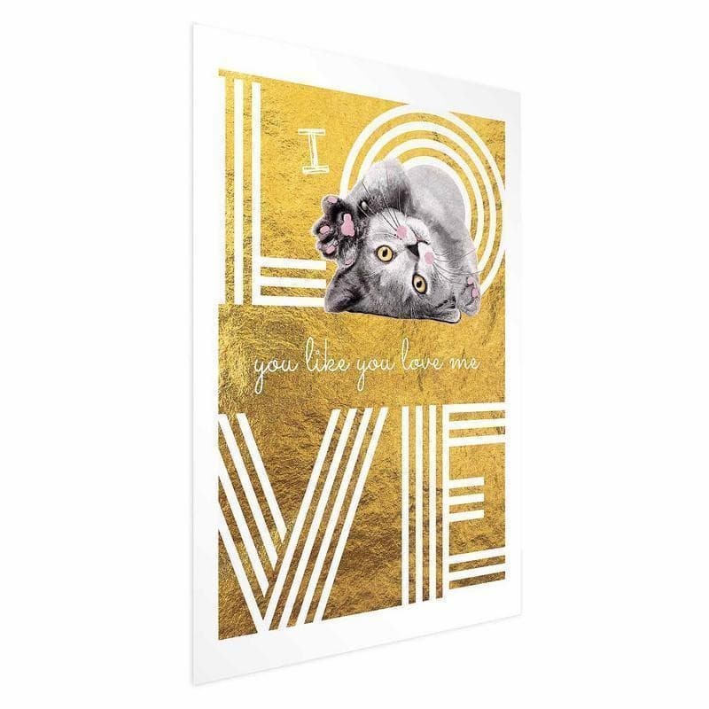Poster - I Love You Like You Love Me - 6