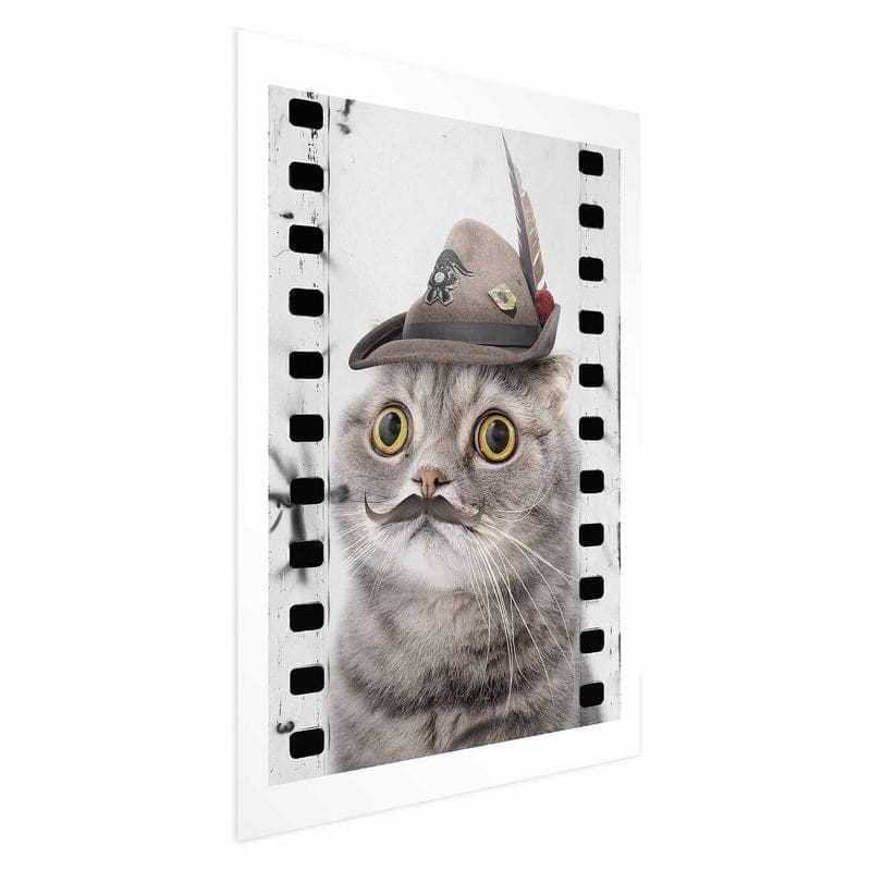 Poster - Cat in a Hat - 6