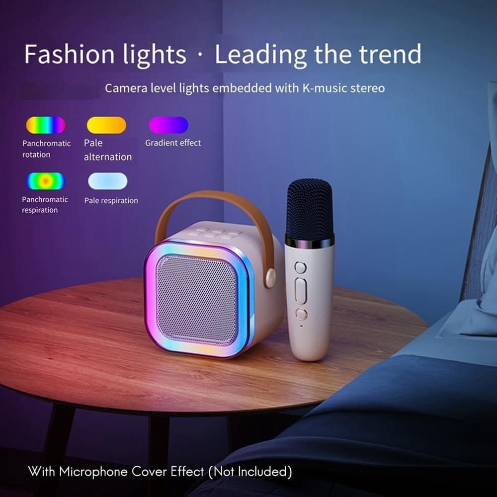 CASSA ALTOPARLANTE BLUETOOTH CON MICROFONO PROFESSIONALE AUDIO PICCOLA PER CASA KARAOKE - 12