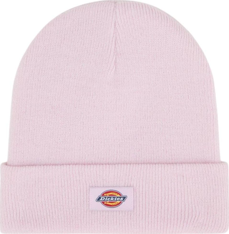 Dickies cappelo baine rosa Gibsland unisex DK0A4X7KK73 - 5